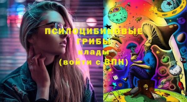 первитин Гусев