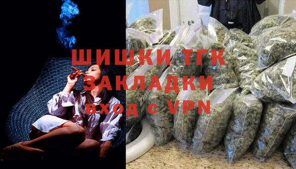 первитин Гусев