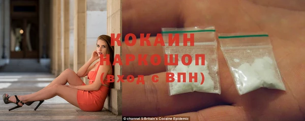 прущие грибы Горнозаводск