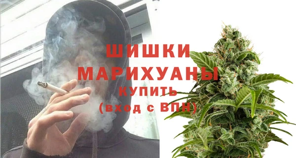 крисы Гусь-Хрустальный
