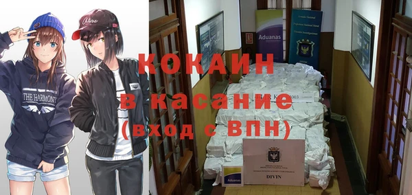 первитин Гусев