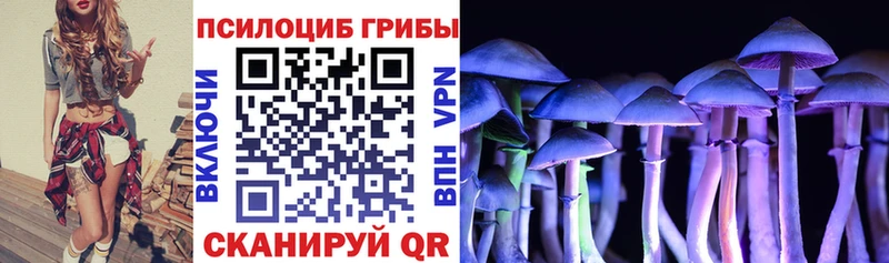omg   цена наркотик  Карабаново  Галлюциногенные грибы MAGIC MUSHROOMS 